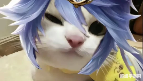 王者荣耀猫咪头像