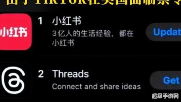 小红书官网首页