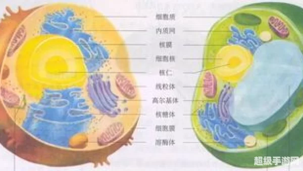 源生生命